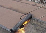 ������ ����� ������